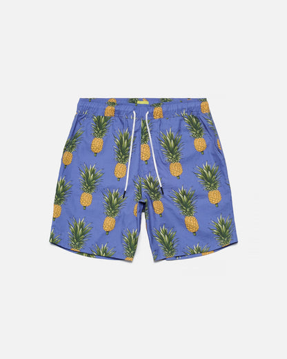 Wild Pineapple Print Shorts