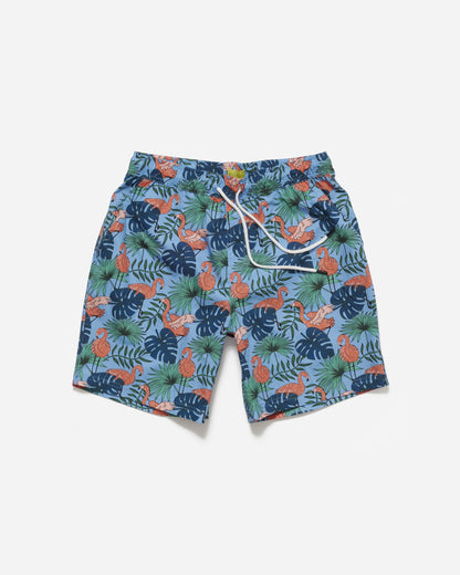 Flamingos Print Shorts